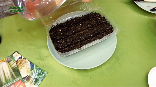 СЕЛЬДЕРЕЙ. ДВА способа посева. Советы от Зеленого Огорода. смотреть онлайн