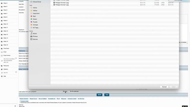 How to post your picture (Avatar) in Laulima for Forum or Message Board смотреть онлайн