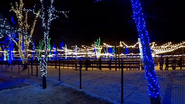 Каток в Центральном Городском Парке им. Ленина в Белгороде. 27.12.2021 смотреть онлайн