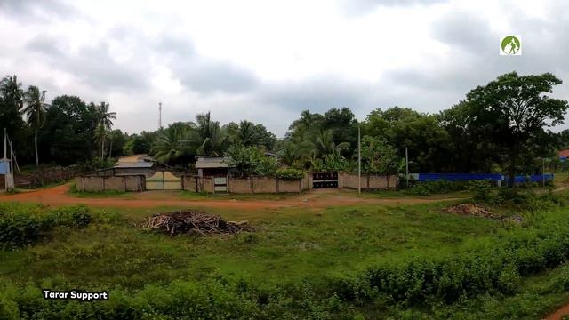 Sri Lanka Travel By Train Jaffna To Colombo Journey 2022 смотреть онлайн