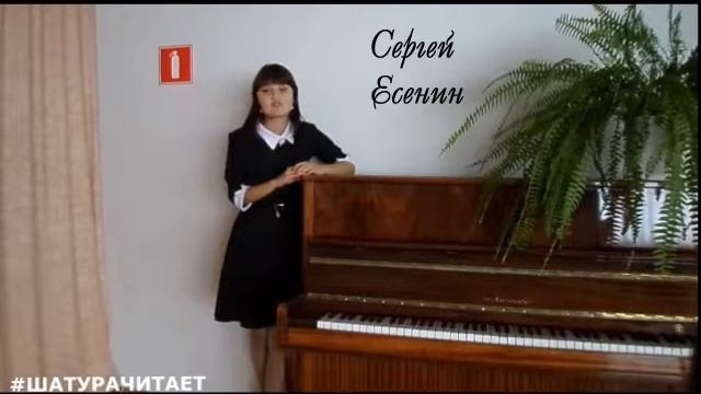 Екатерина Брагина, 10фм класс МБОУ Лицей г Шатуры 2015 смотреть онлайн