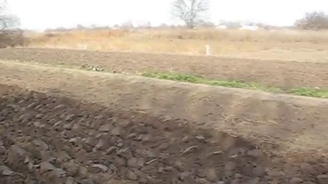 Изображение 319 смотреть онлайн