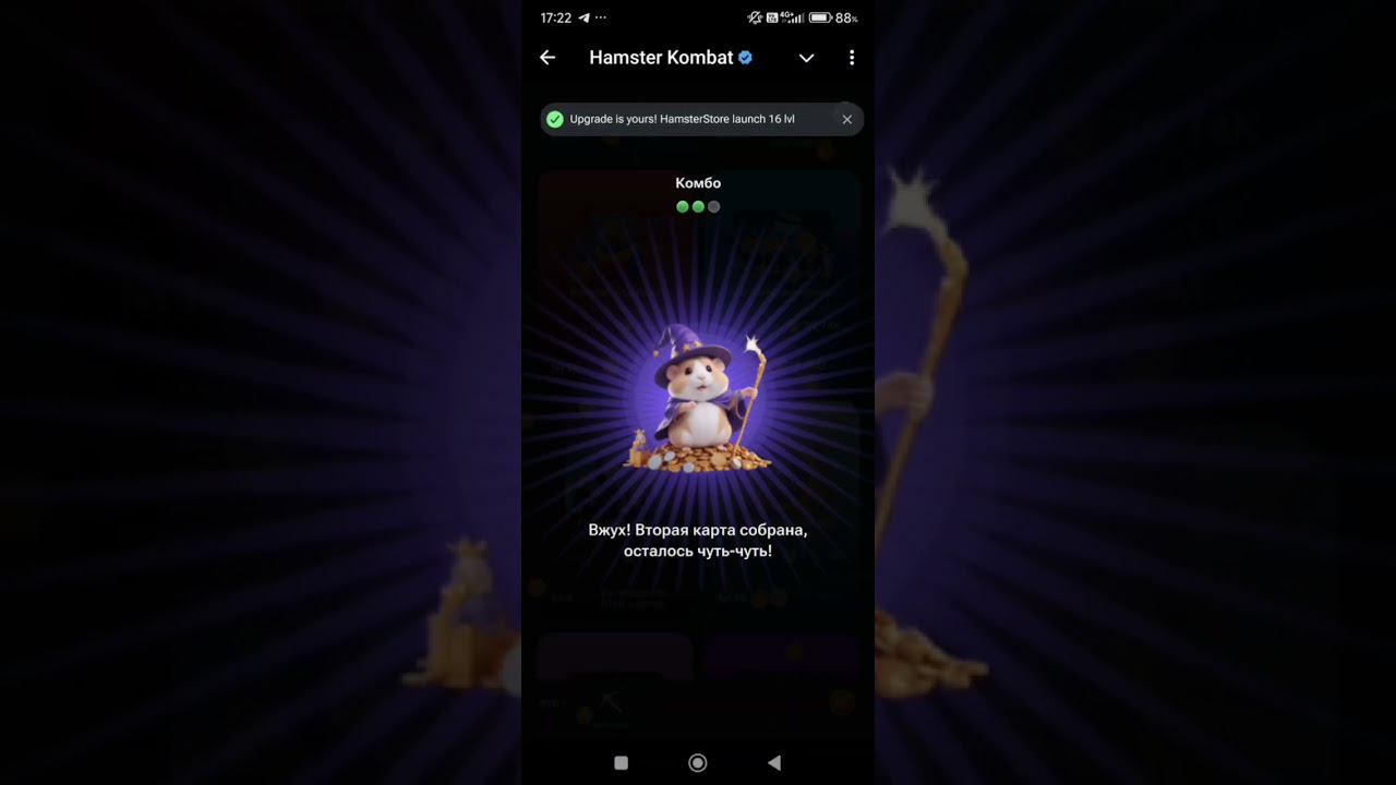 Комбо карты Hamster Kombat 24 - 25 августа 2024: карты, секреты и как найти комбо сегодня в Хомяке смотреть онлайн