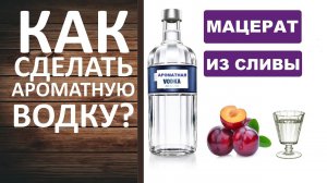Мацерат из сливы или как сделать ароматную водку.