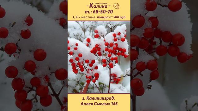 Видеоролик для нового клиента гостевой дом "КАЛИНА". смотреть онлайн