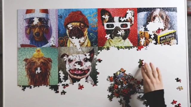 Eurographics Jigsaw Puzzles Review With Funny Dogs Puzzle смотреть онлайн