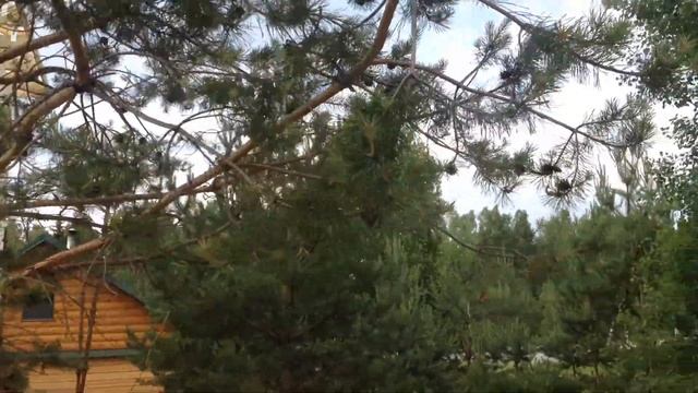 69 Крепим капельник смотреть онлайн