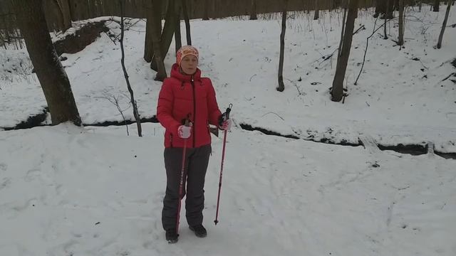 Скандинавская (Северная) ходьба. Упражнения на гибкость, силу и координацию. смотреть онлайн