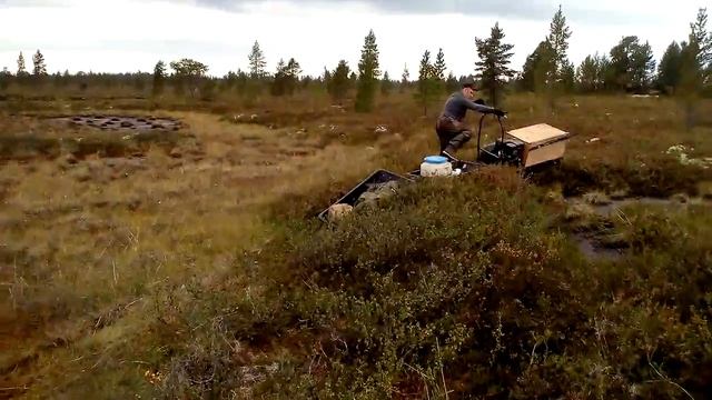 Пахус МД смотреть онлайн