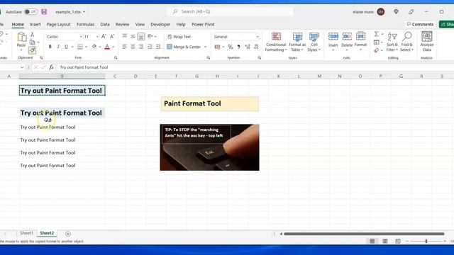 Excel - Paint Format Tool смотреть онлайн