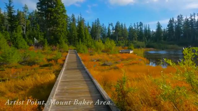 Саламун саламун