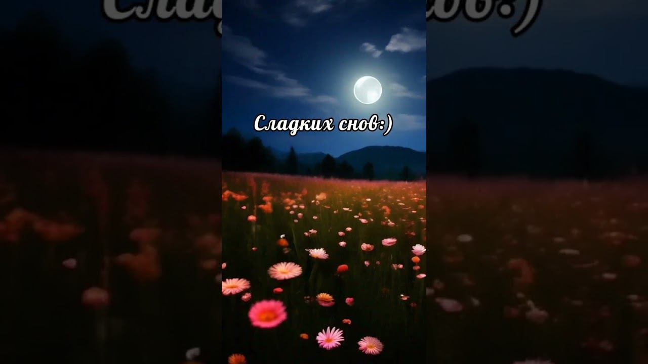 Сладких снов:) смотреть онлайн
