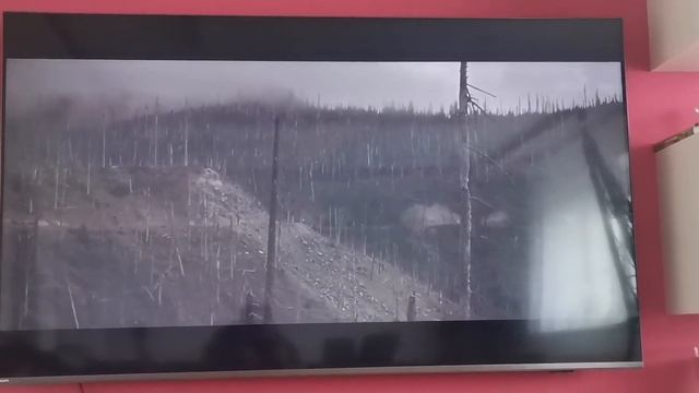 philips 65pus8517 green flashes смотреть онлайн