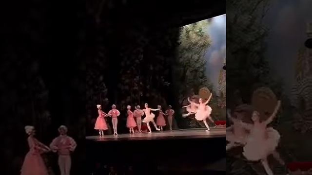 Балет «Щелкунчик» в театре «Новая Опера» смотреть онлайн