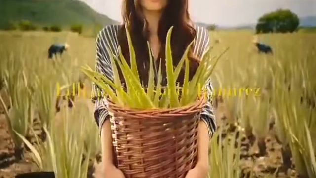 Herbal Essences смотреть онлайн