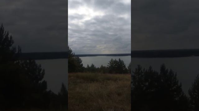 Тоса Ину. Гуляем на новом месте. смотреть онлайн