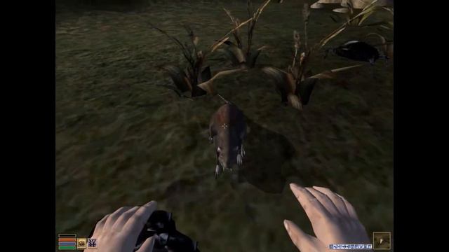 And He Wants More.... E73 | Play the Character 1: Morrowind смотреть онлайн