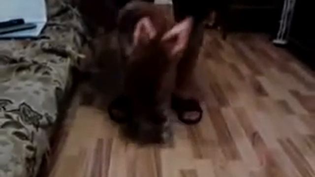 Танцы котэ смотреть онлайн