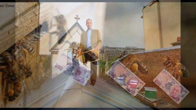 Пчеловодство.Слайд Шоу № 3( 96 фото) смотреть онлайн