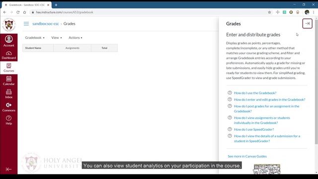 HAU Canvas Tutorial (Desktop) смотреть онлайн