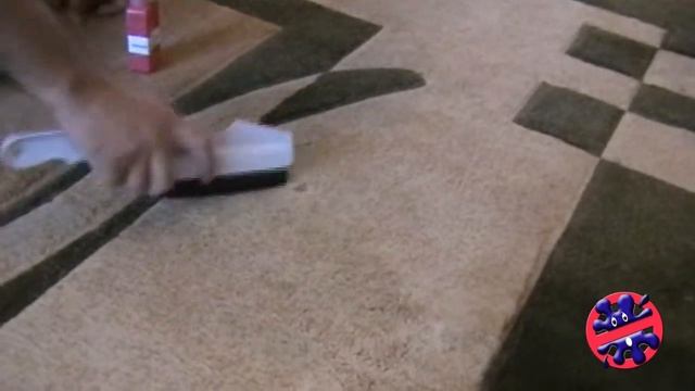 Хоум Эксперт представляет: Химчистка ковра. Удаление пятен. смотреть онлайн