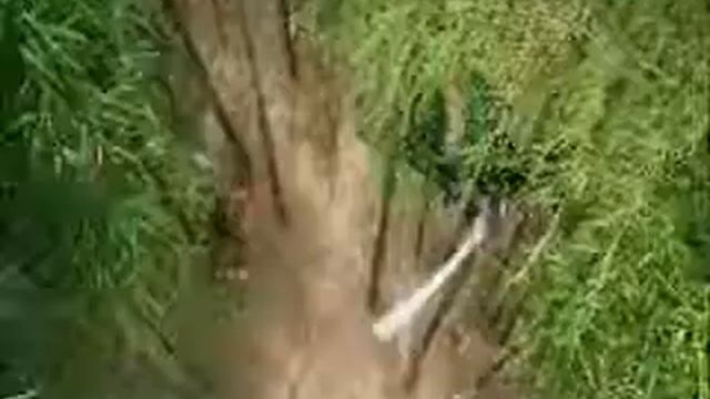 С Днем Рождения, Оленька,наша капелька Луны.wmv смотреть онлайн