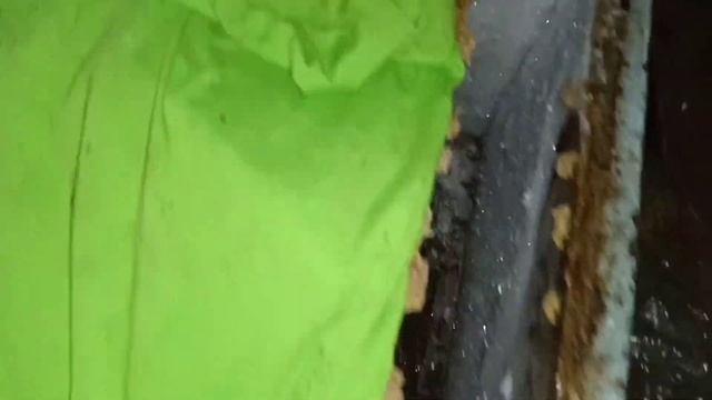 Ошибка при зимовке пчёл! Так нельзя зимовать пчёлам!Неправильно организована зимовка пчёл! смотреть онлайн