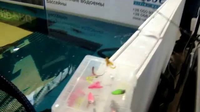 Выставка для рыбаков! 17 03 17г смотреть онлайн