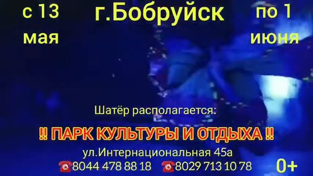 «Цирк Юрского периода» в Бобруйске смотреть онлайн