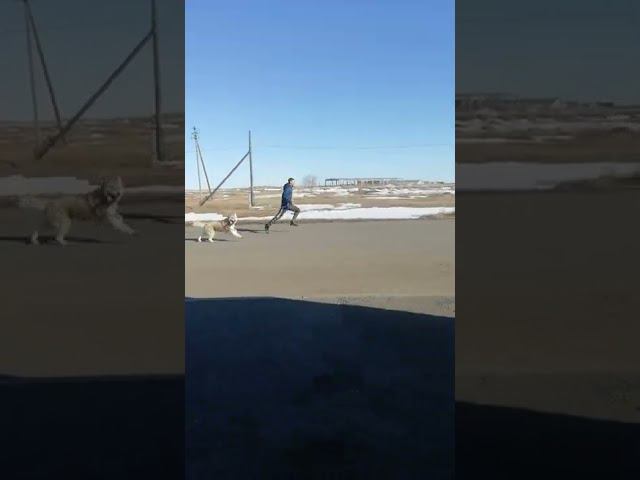 VID 20190405 162000 смотреть онлайн