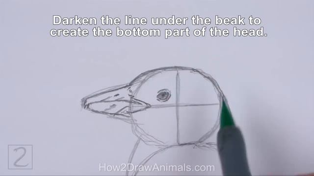 How to Draw a Penguin (Magellanic) смотреть онлайн