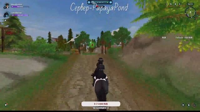 ОБЩАЕМСЯ И КАЧАЕМ КОНЕЙ // СТРИМ STAR STABLE ONLINE смотреть онлайн