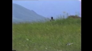 Джамиля Залова: Къведа жал? Сл.и муз. Седагет Керимовой. 2004 г.