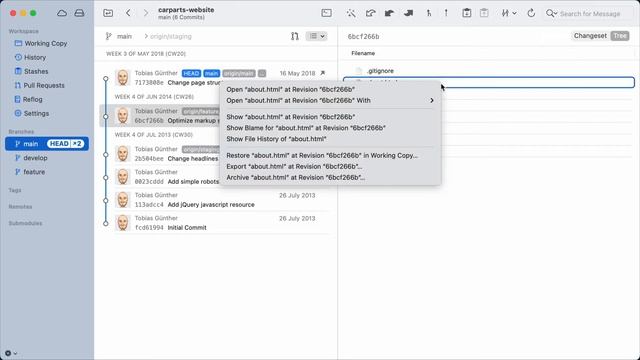 Tower for Mac - Getting Started смотреть онлайн