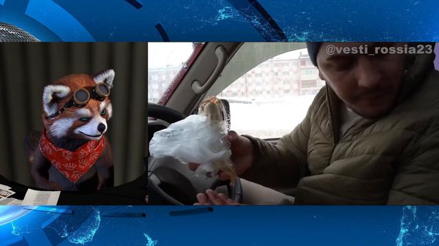 Владимир таксист. Россия23 | реакция Red Panda | @vesti_rossia23 смотреть онлайн