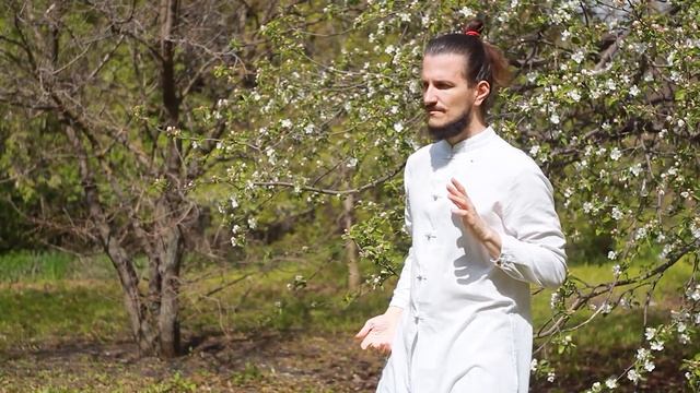 18 форм тайцзи | Цигун | Leo Somna | Tai Chi 18 forms | #цигун #qigong #taichi смотреть онлайн