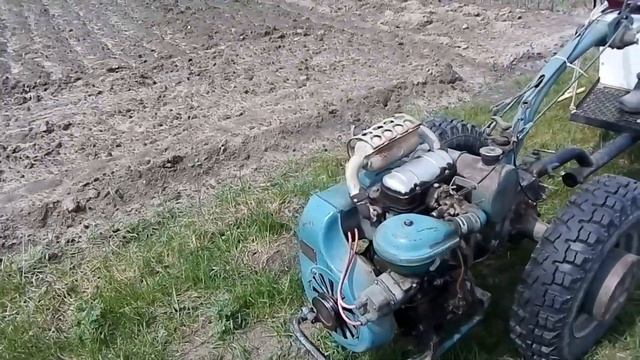 Посадка ранньої картоплі,грядку обробляємо культиватором мотоблок МТЗ 12 двигун УД 25. смотреть онлайн