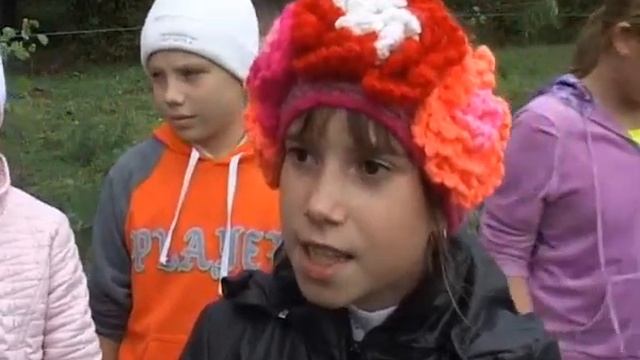 Бумажное дерево в ЭБЦ. смотреть онлайн