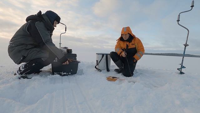 Рыбалка на Сямозере. Нашёл хороших окуней. Эхолот Deeper CHIRP+ 2. Зимняя рыбалка в Карелии 2021 смотреть онлайн