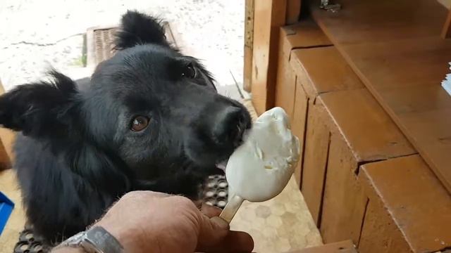 Наша невестка все стрескат. смотреть онлайн