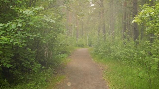 Летняя распродажа шнековых соковыжималок и проращивателей в интернет магазине RawMid! смотреть онлайн