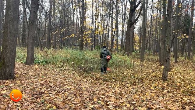 Парк Останкино. Покос травы в ноябре. смотреть онлайн