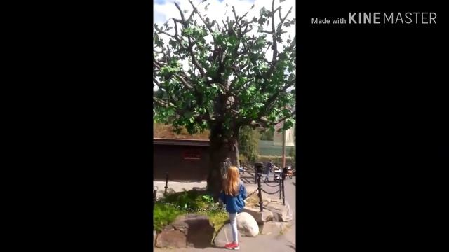 Hunderfossen familiepark?2019 смотреть онлайн