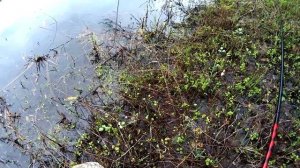 Рыбалка на реке Хопер. 1 мая 2023 года. Эксперимент с насадками и не ожиданный результат.