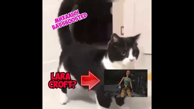 КОТ ФЛЕКСИТ В ФОТОШОПЕ (BASSBOOSTED) смотреть онлайн