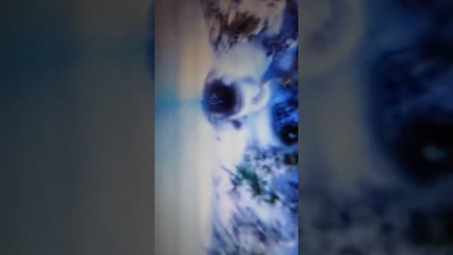 5 де русские горы смотреть онлайн