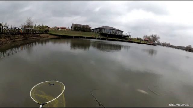 Trout fishing. Moscow region. The Fishing club "FISHERIX". 28/10/2018 смотреть онлайн