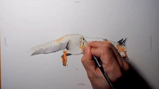 Fox fast sketch смотреть онлайн