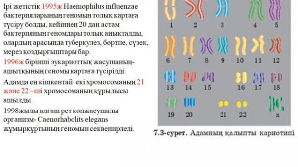 11 сынып. Биология.Адам геномы жобасы.  Адамның геномдық ДНҚ-сын секвенирлеу.