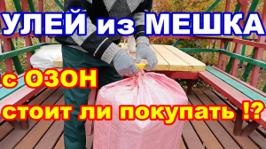 Улей для пчёл из МЕШКА ! Улей ППУ С Озон стоит ли Покупать !  Видео обзор разборного улья из ппу !